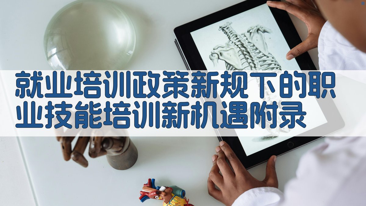 就业培训政策新规下的职业技能培训新机遇 · 附录 图5