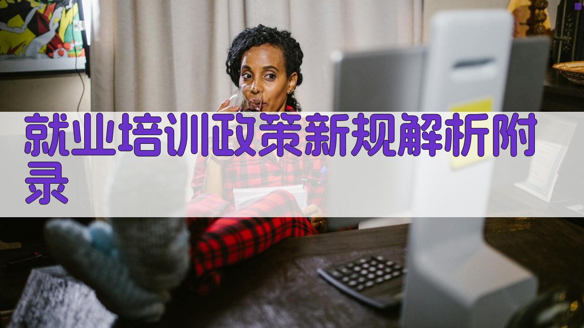 就业培训政策新规解析 · 附录 图5