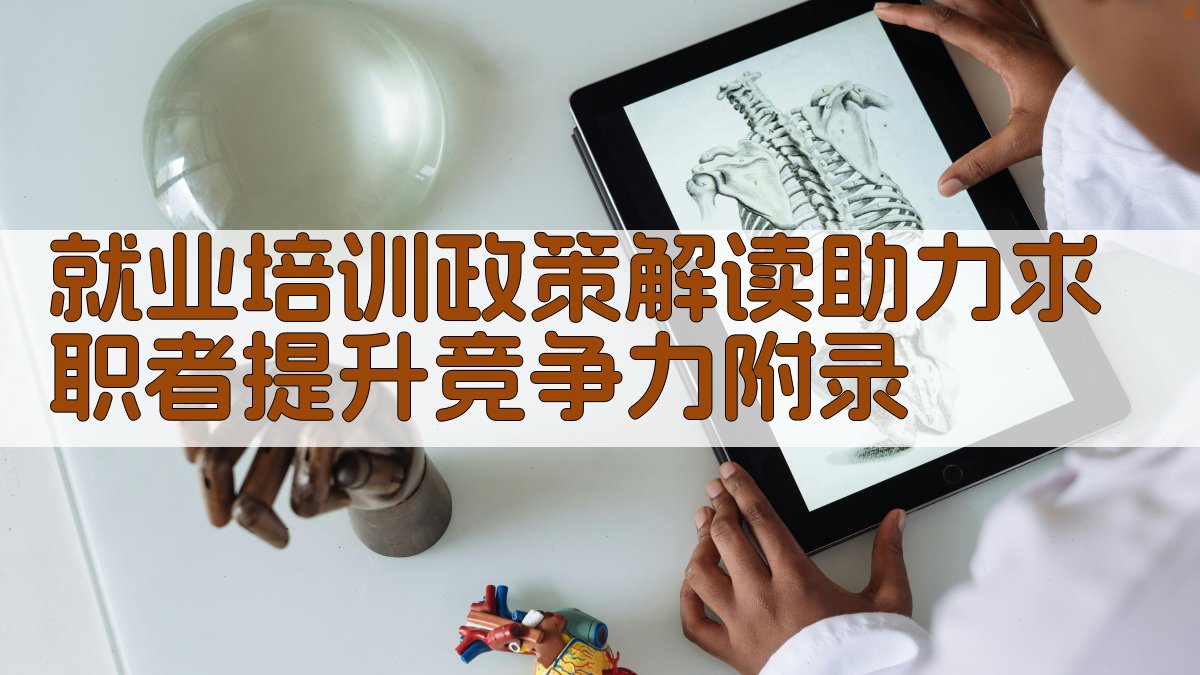 就业培训政策解读助力求职者提升竞争力 · 附录 图3