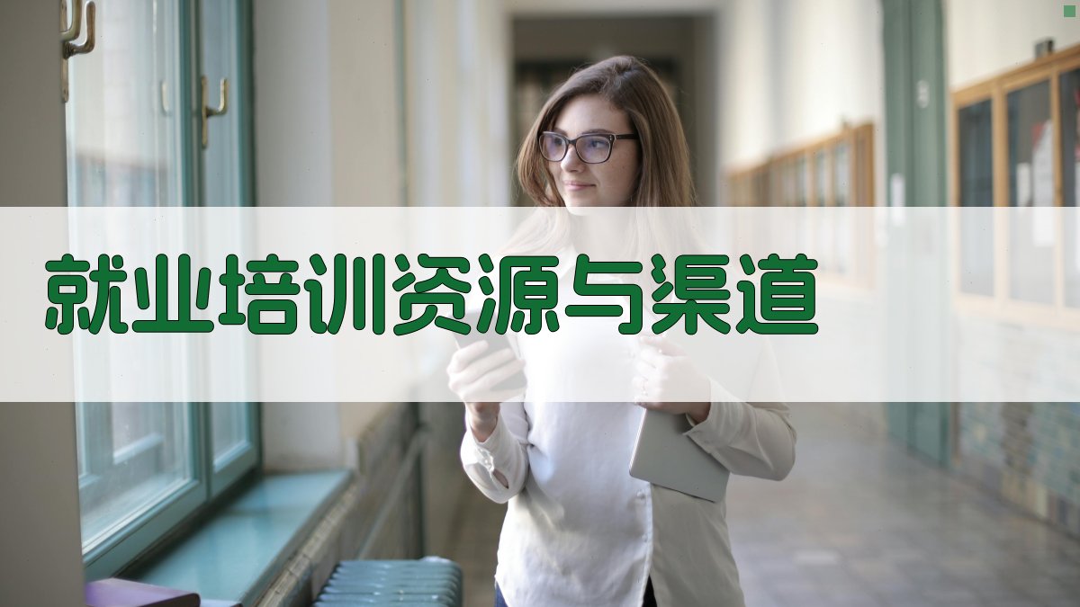 就业培训资源与渠道 图2