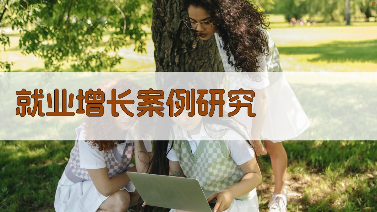 就业增长案例研究 图4