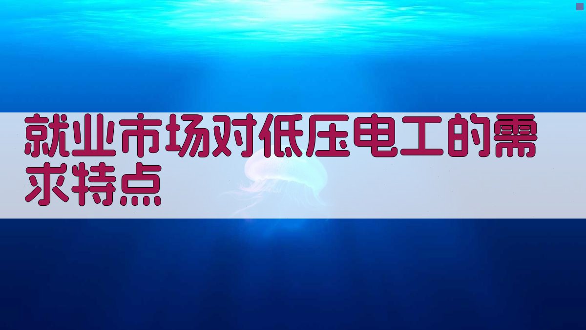 低压电工培训就业保障
