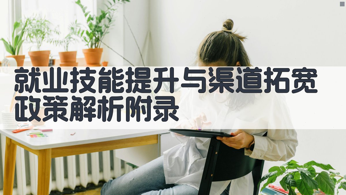 就业技能提升与渠道拓宽政策解析 · 附录 图4