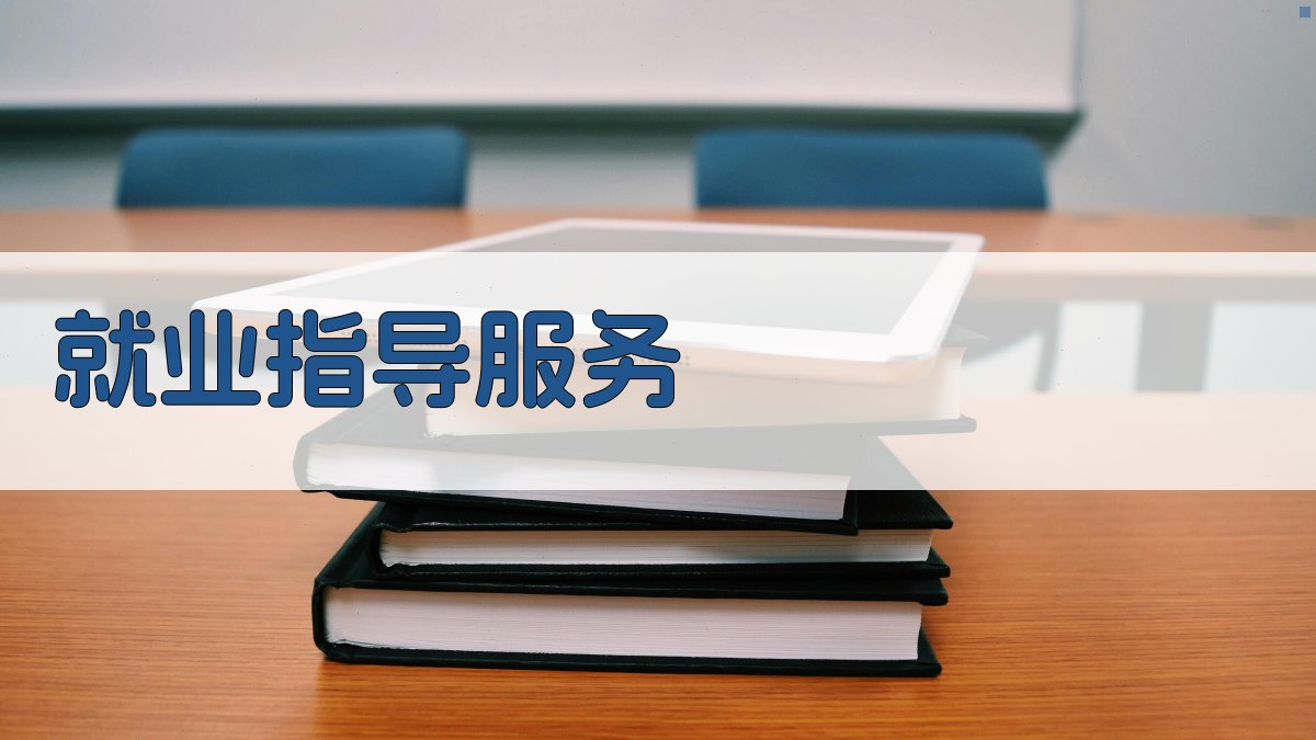 就业指导服务 图3