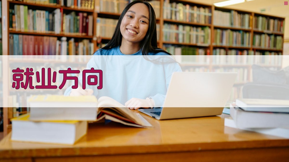 就业方向 图2