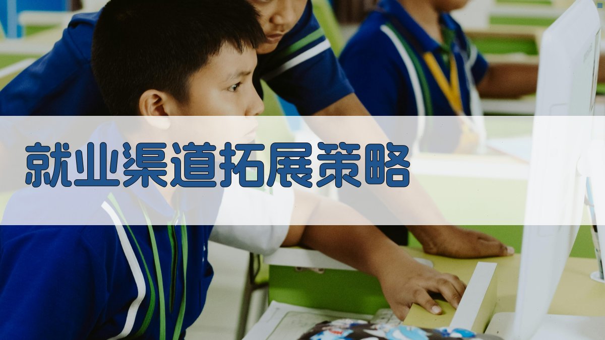 就业渠道拓展策略 图2