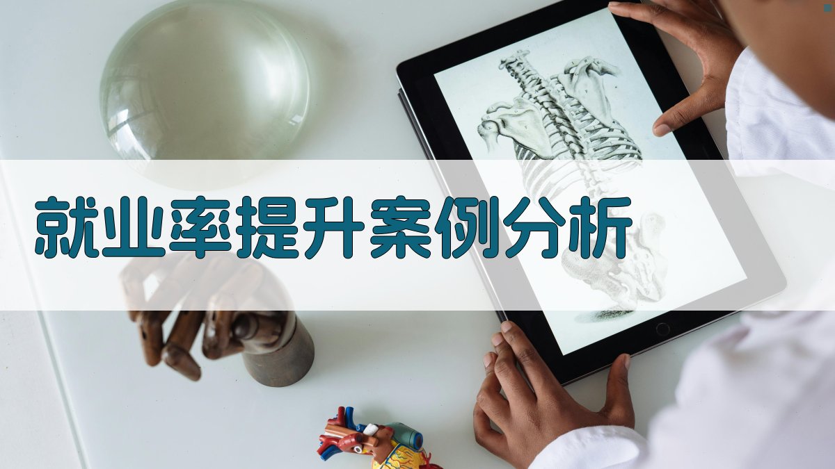 就业率提升案例分析 图2