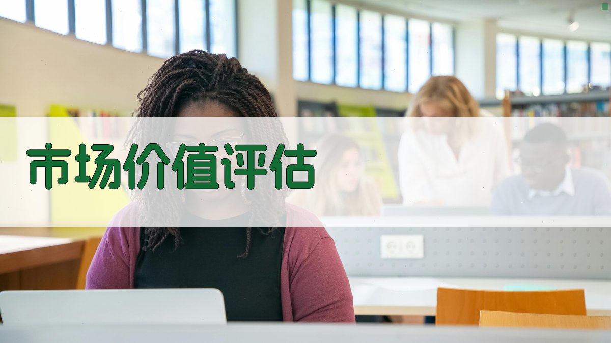 市场价值评估 图1