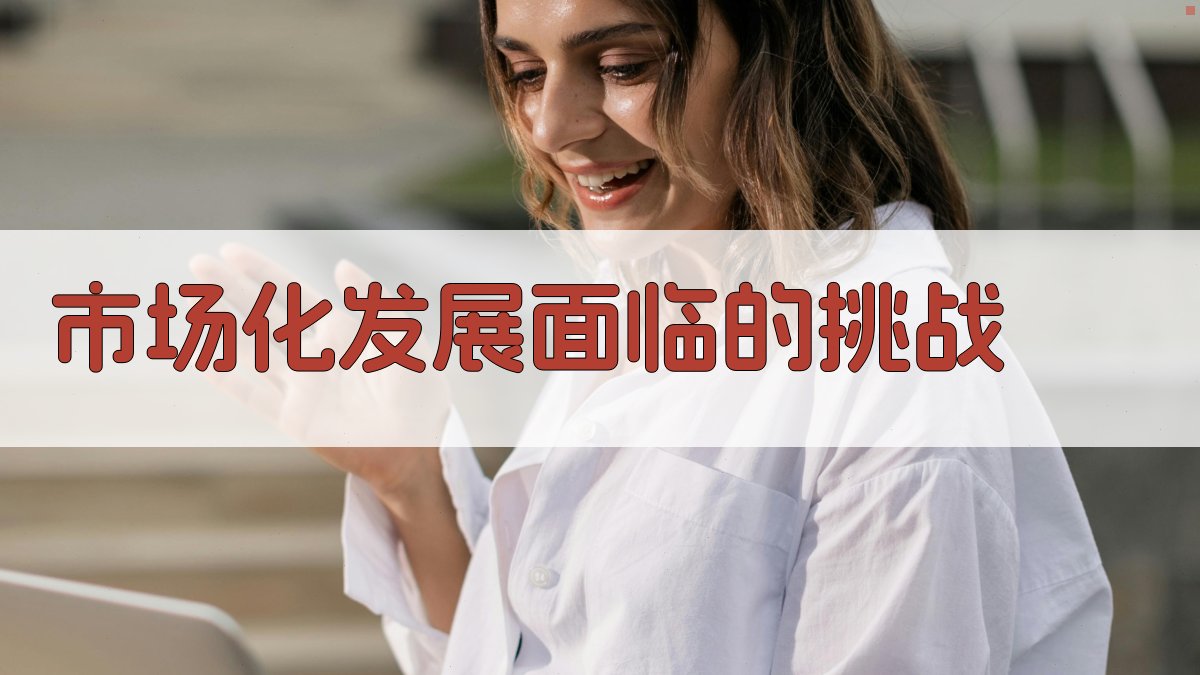 市场化发展面临的挑战 图2