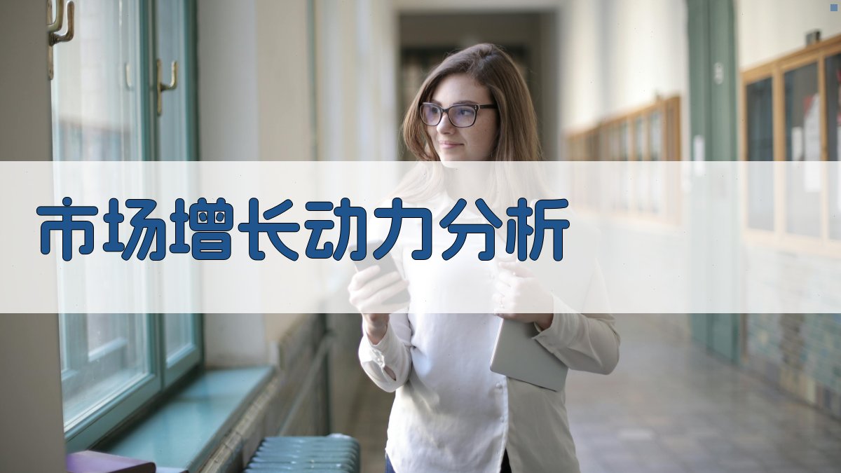 市场增长动力分析 图2