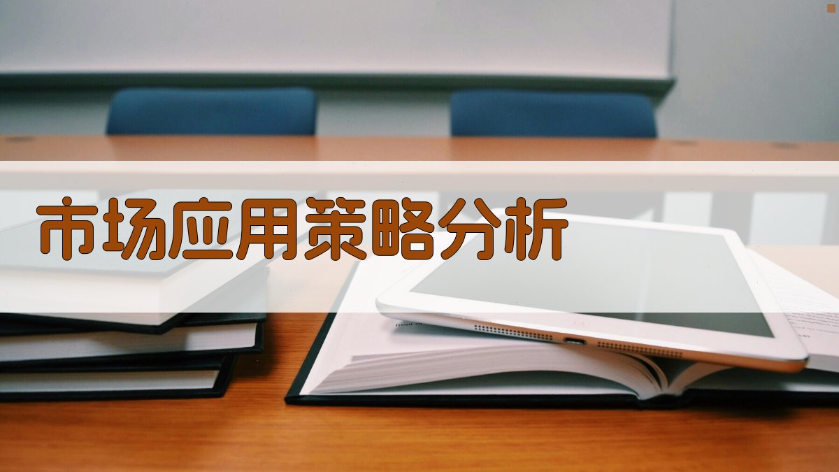 市场应用策略分析 图3