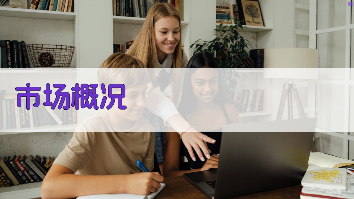 市场概况 图1