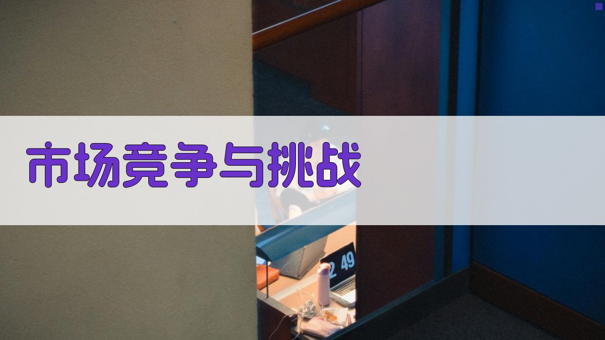 市场竞争与挑战 图3
