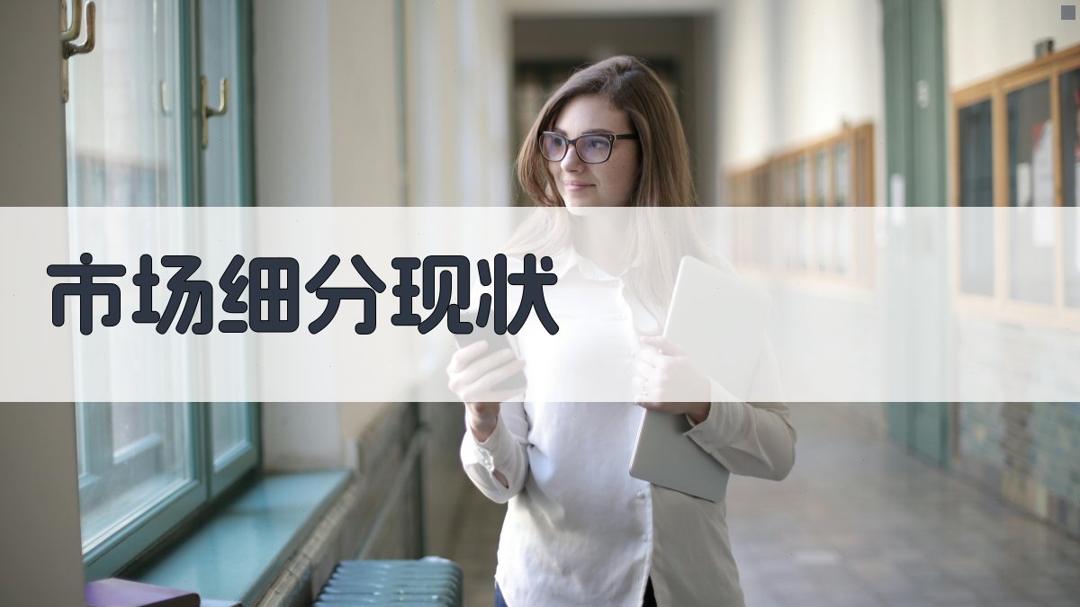 市场细分现状 图1