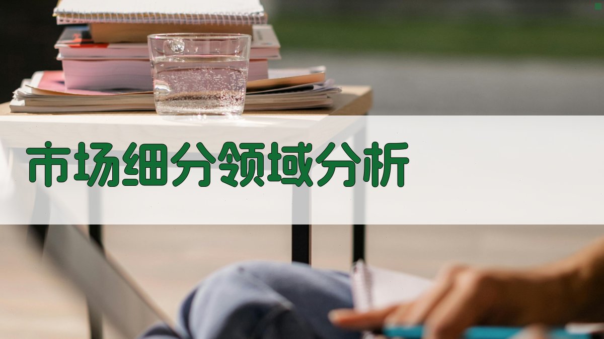 市场细分领域分析 图3