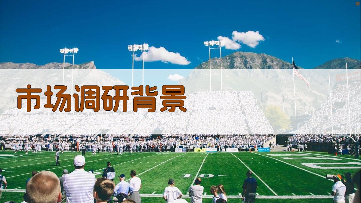 市场调研背景 图1