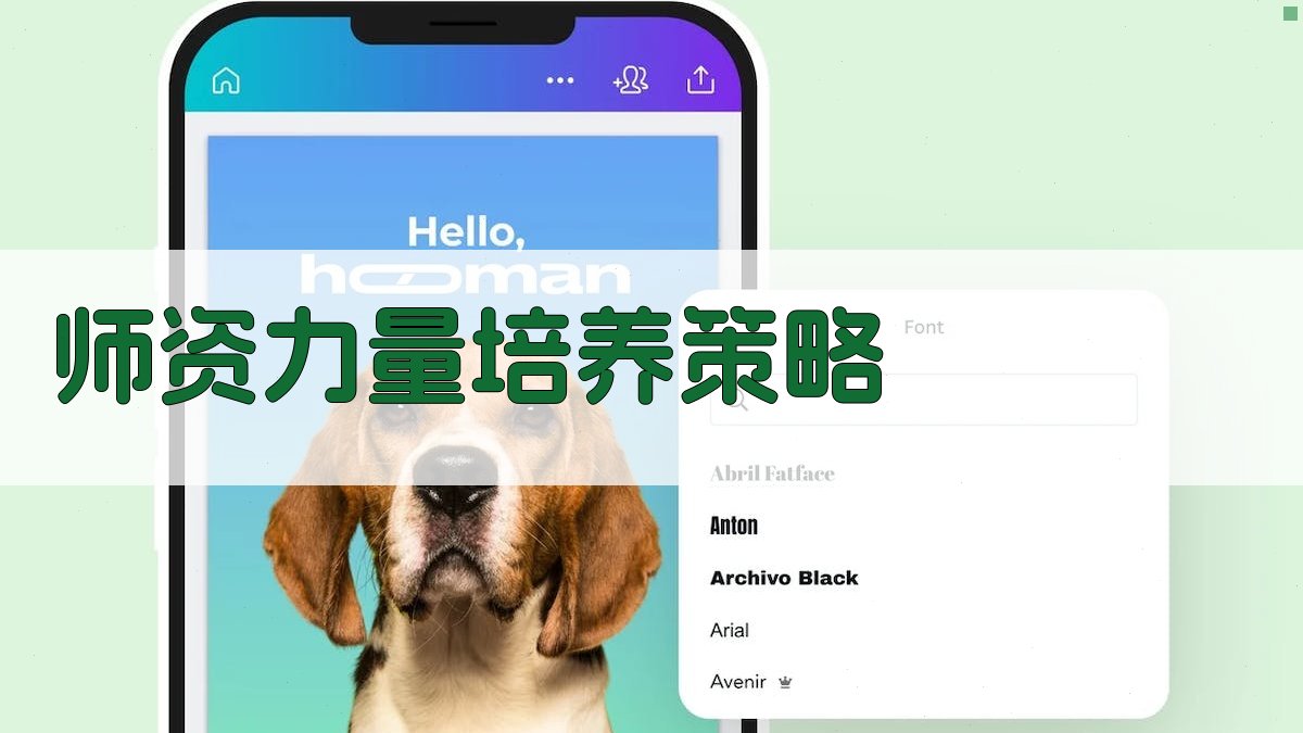 师资力量培养策略 图3