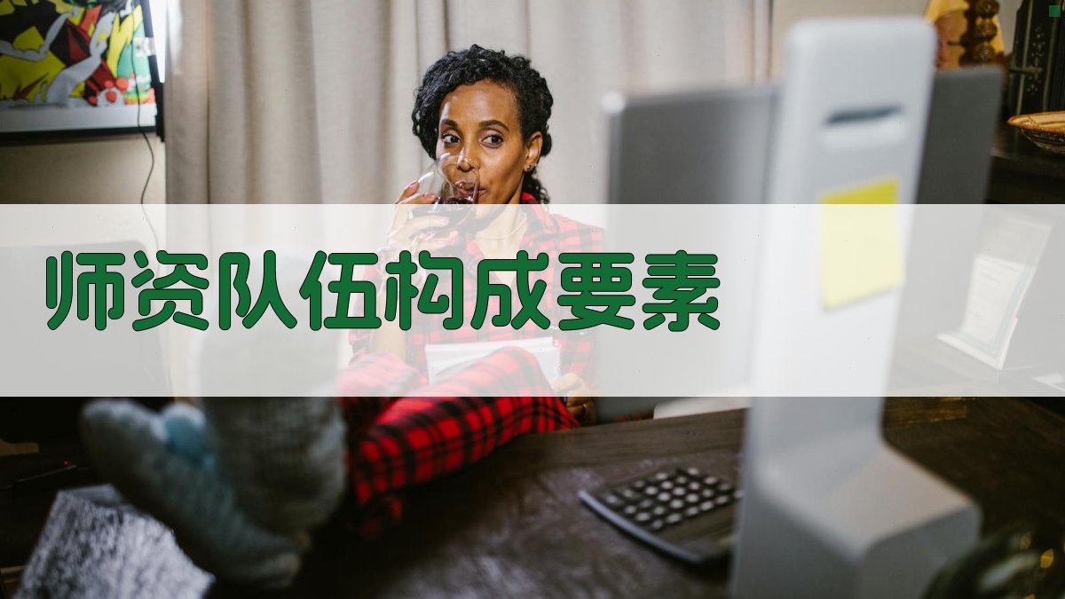 师资队伍构成要素 图1