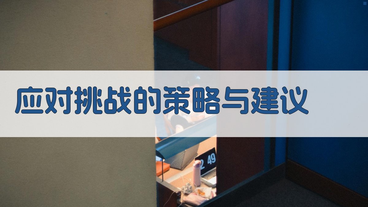 应对挑战的策略与建议 图1