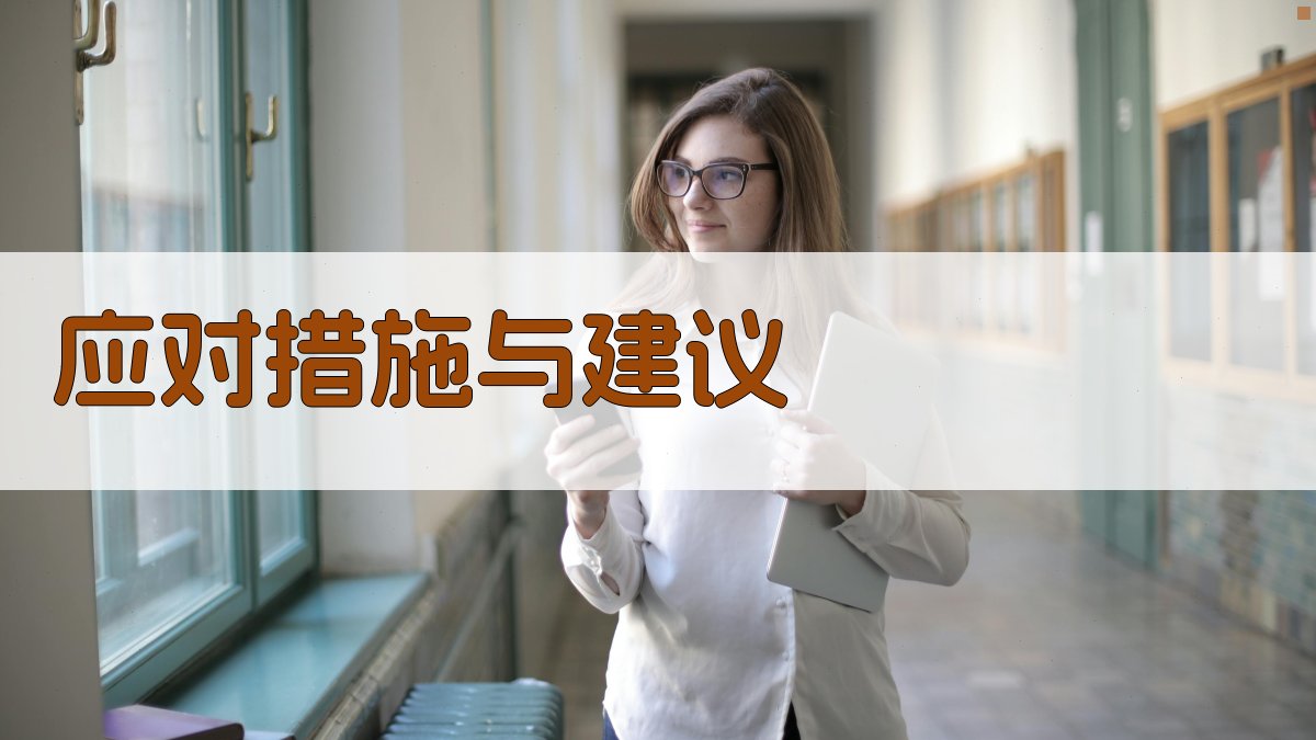 应对措施与建议 图3