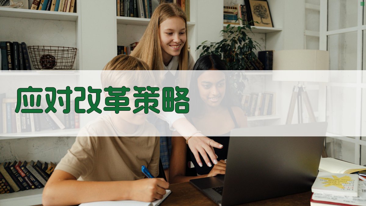 应对改革策略 图4