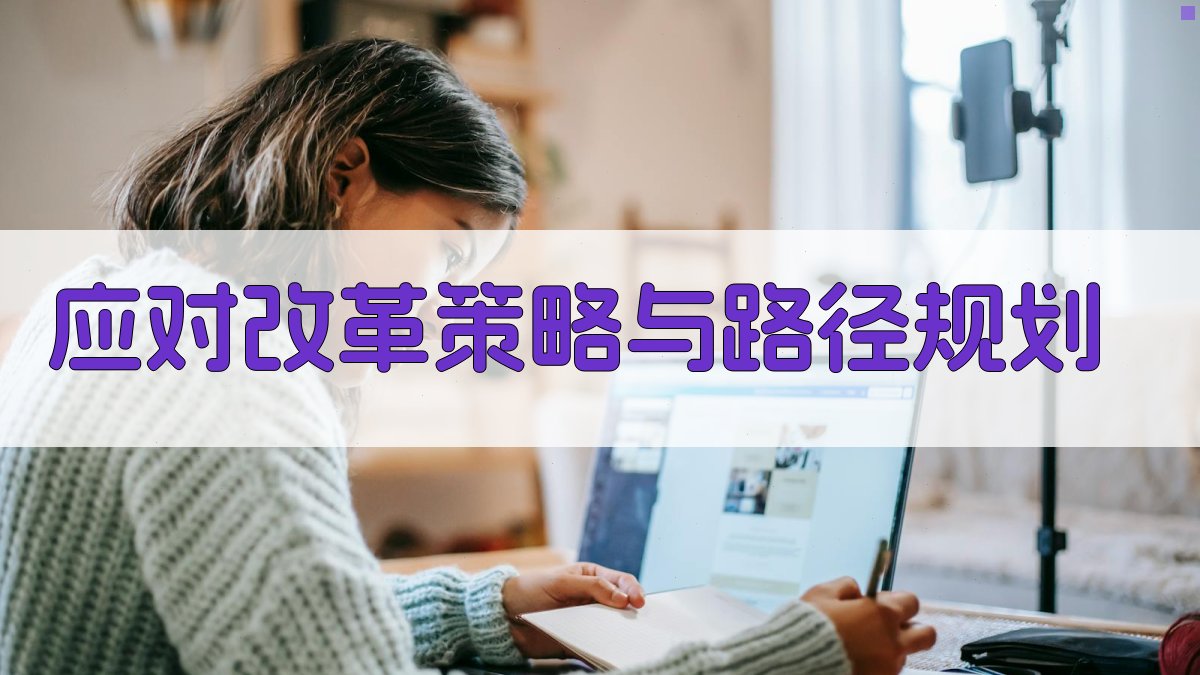 应对改革策略与路径规划 图4