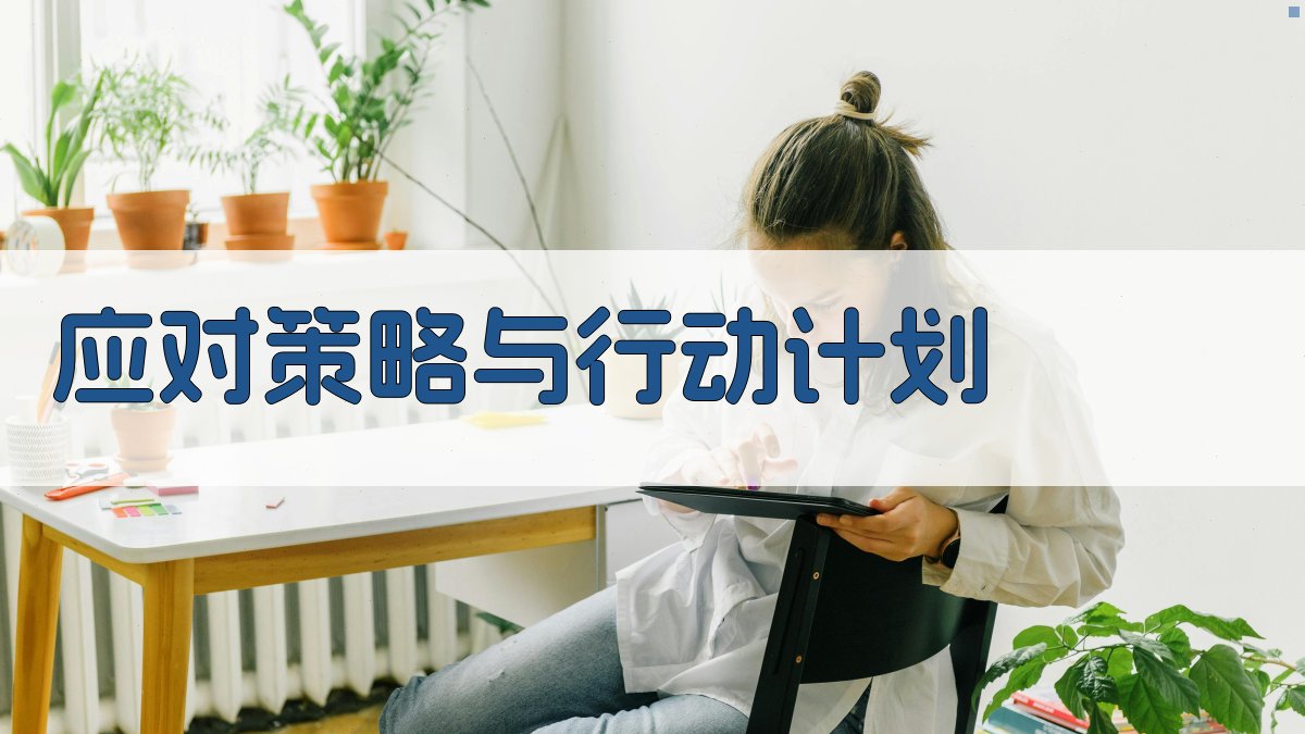 应对策略与行动计划 图2