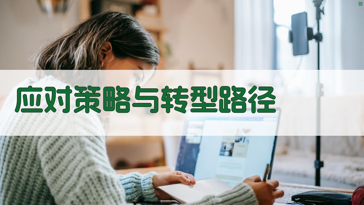 应对策略与转型路径 图4