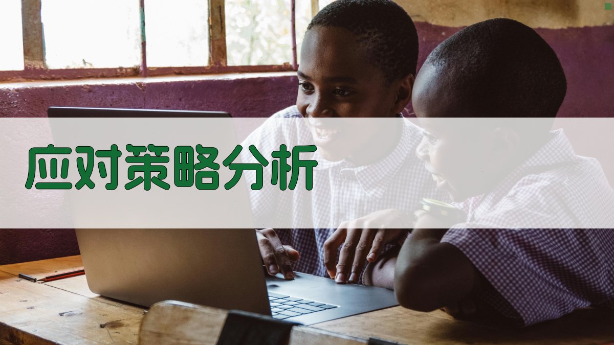 应对策略分析 图3
