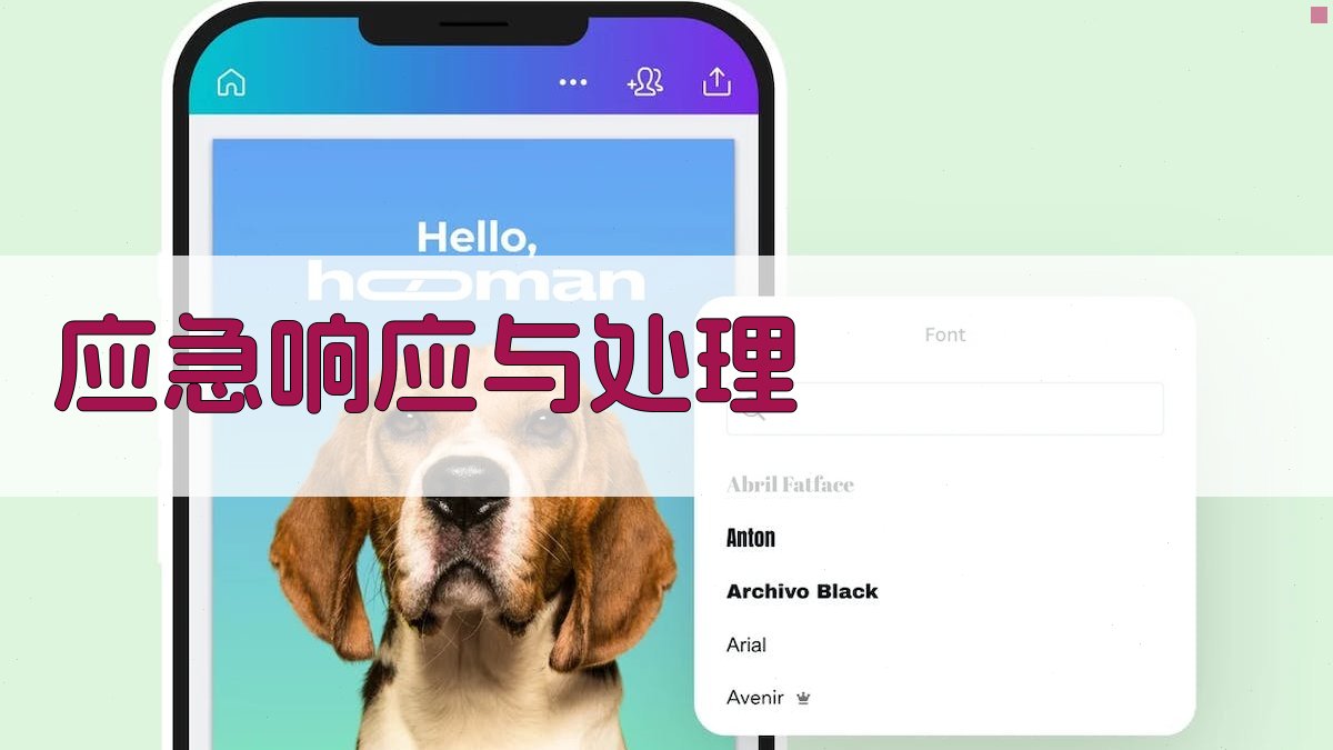 应急响应与处理 图4