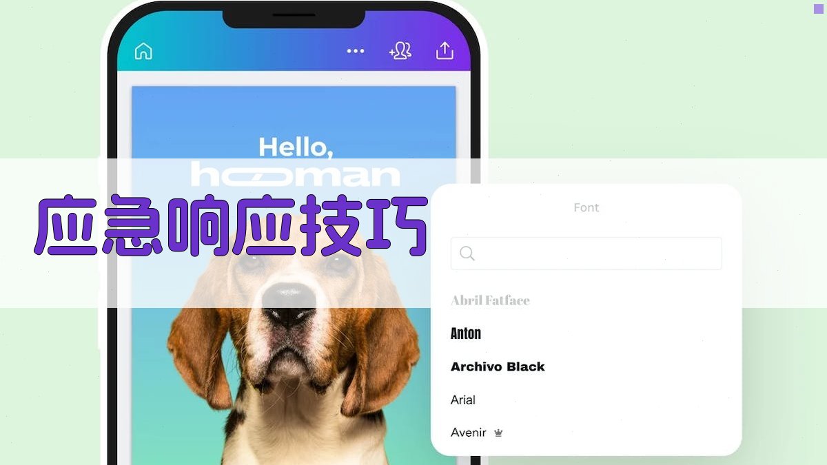 应急响应技巧 图1
