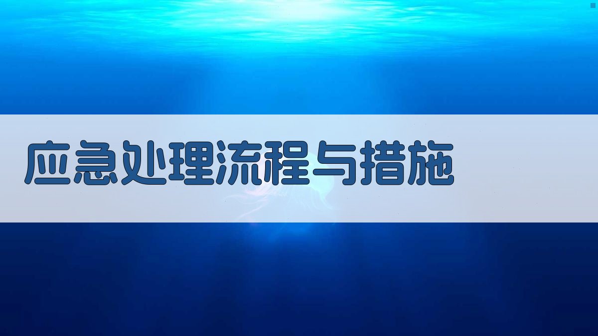 应急处理流程与措施 图2