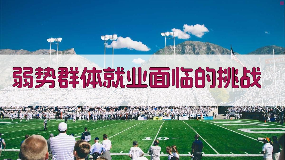 弱势群体就业面临的挑战 图1