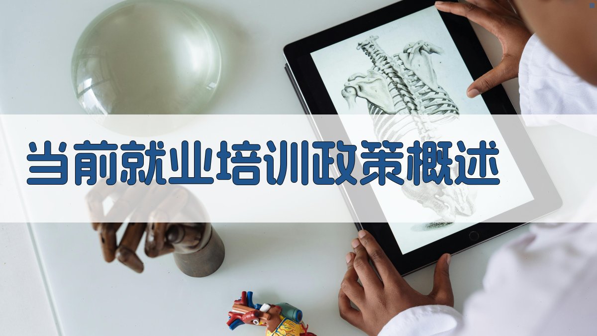 就业培训政策解读促进就业稳定