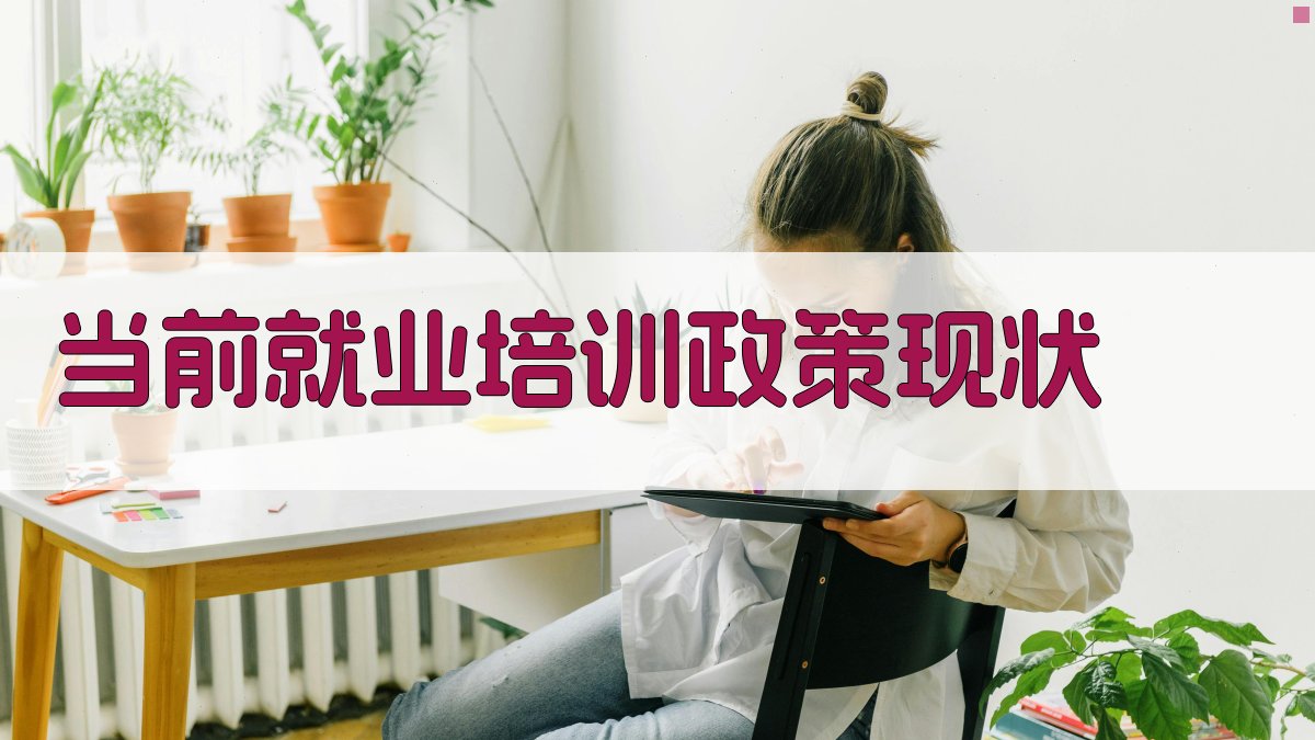 当前就业培训政策现状 图1