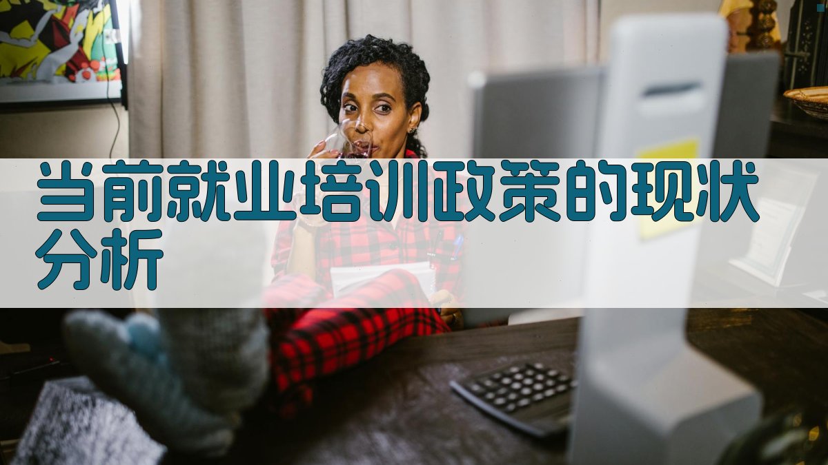当前就业培训政策的现状分析 图2