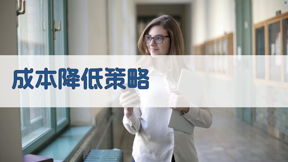 成本降低策略 图2