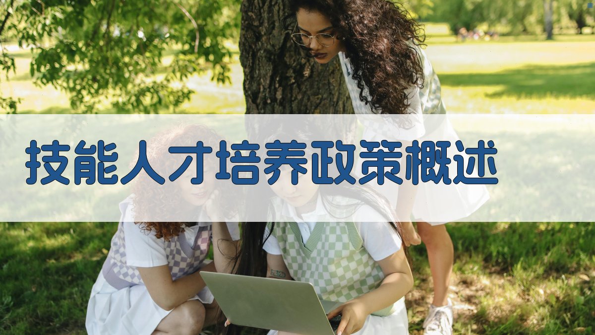 技能人才培养政策概述 图1