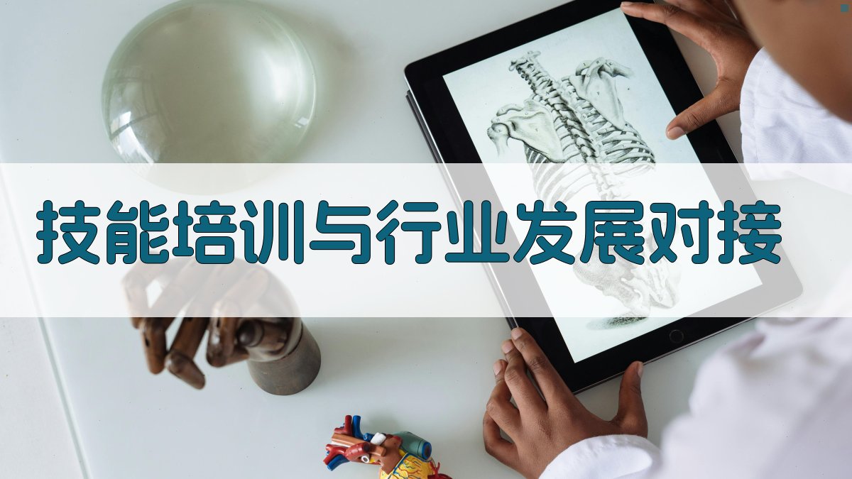技能培训与行业发展对接 图2