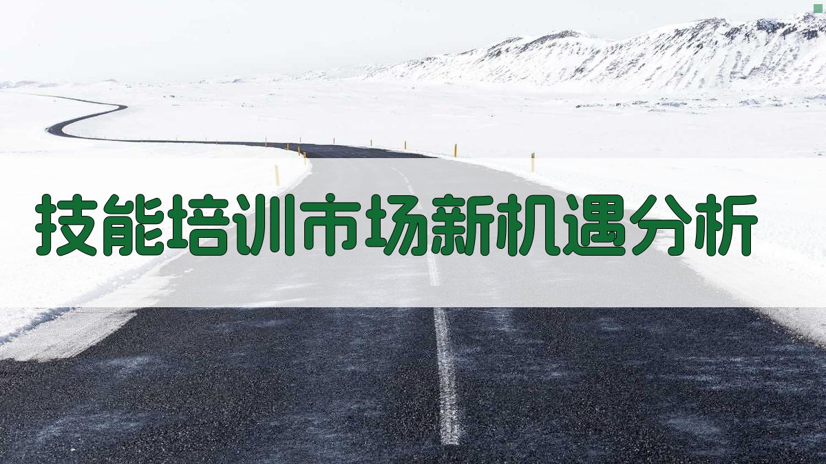 技能培训市场新机遇分析 图1