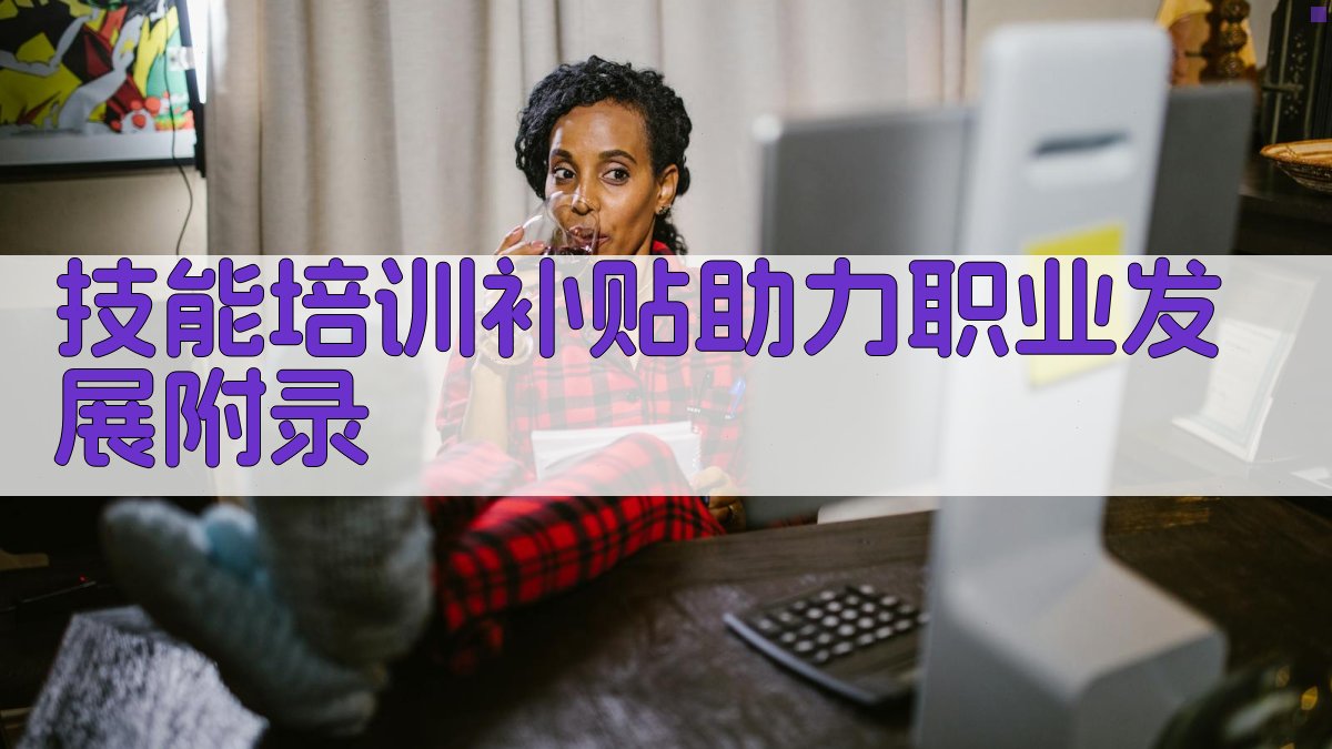 技能培训补贴助力职业发展 · 附录 图4