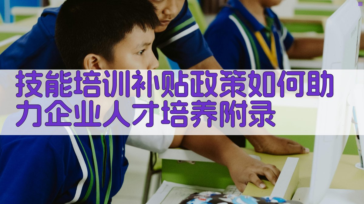 技能培训补贴政策如何助力企业人才培养 · 附录 图2