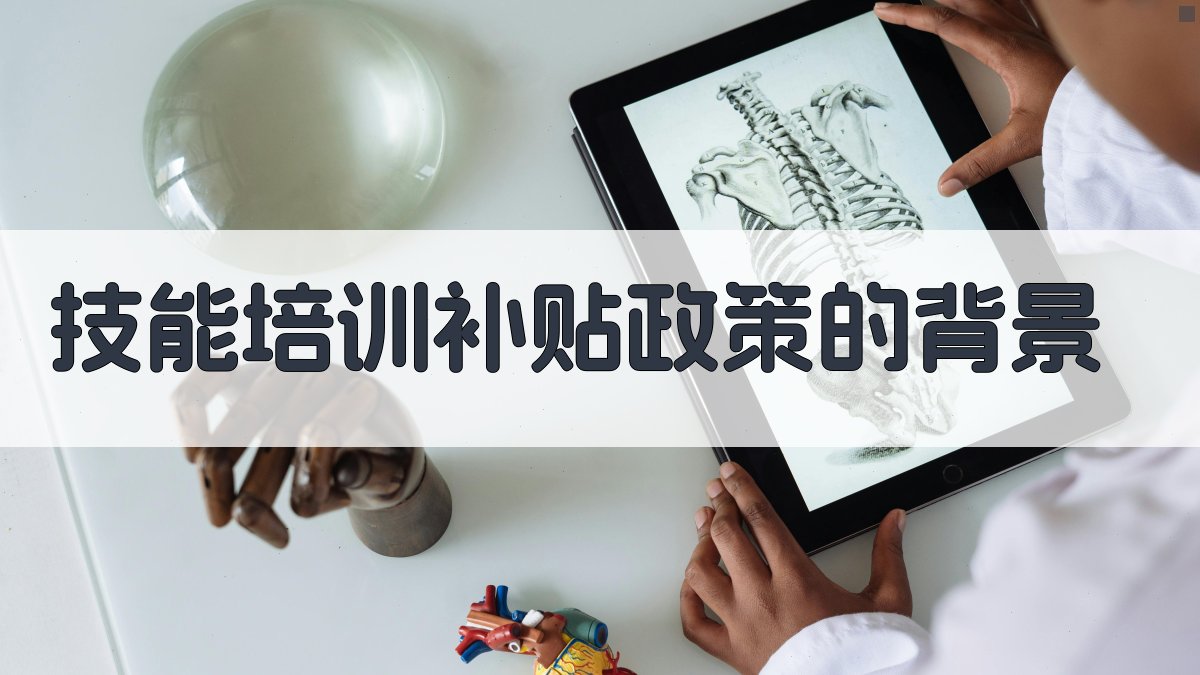 技能培训补贴政策的背景 图1