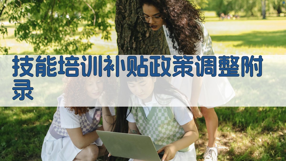 技能培训补贴政策调整 · 附录 图4