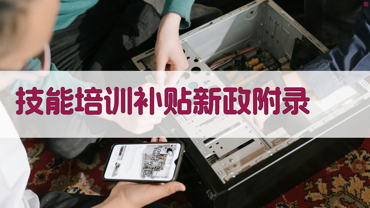 技能培训补贴新政 · 附录 图1
