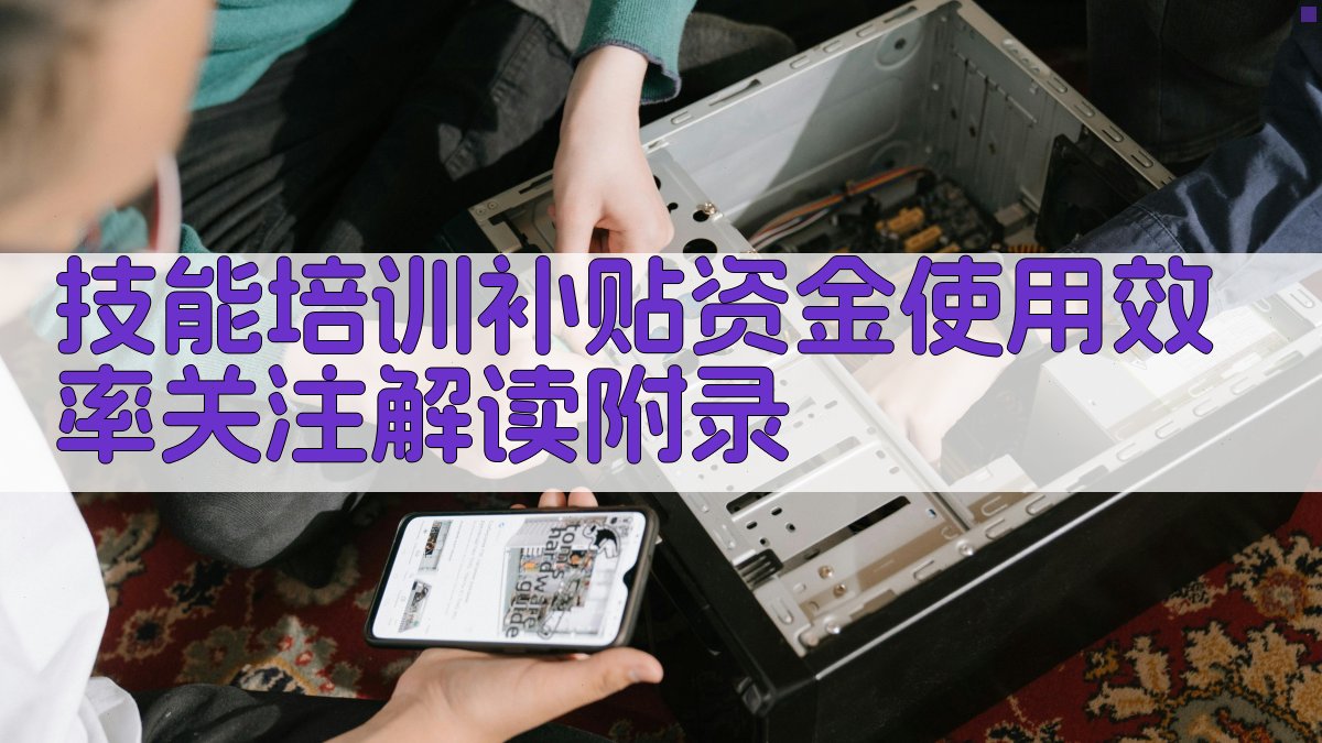 技能培训补贴资金使用效率关注解读 · 附录 图3