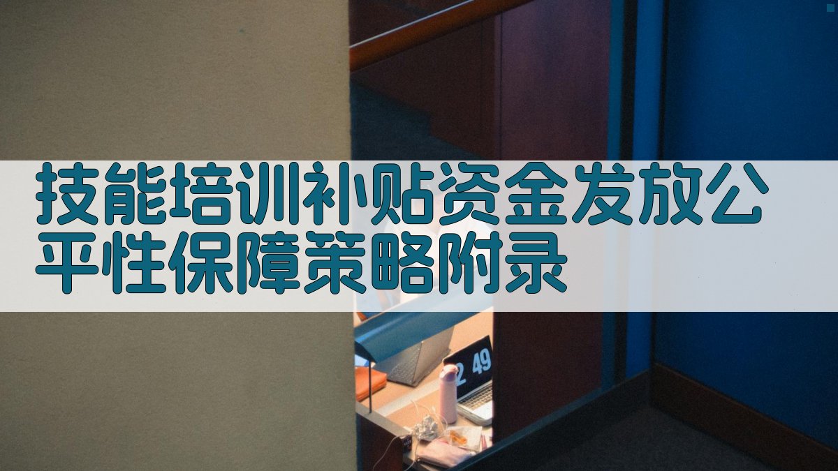 技能培训补贴资金发放公平性保障策略 · 附录 图4