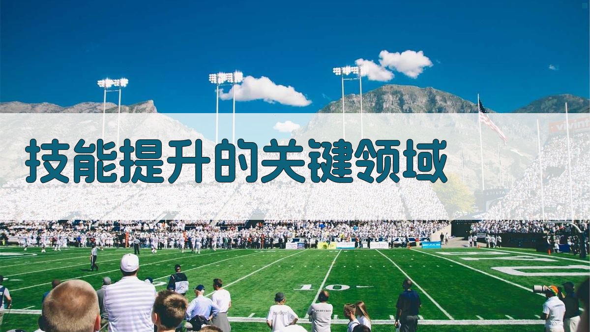 技能提升的关键领域 图1