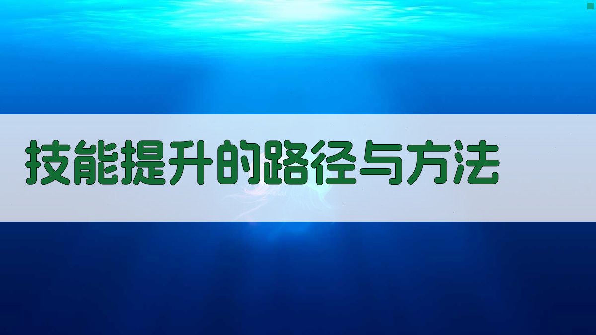 技能提升的路径与方法 图1