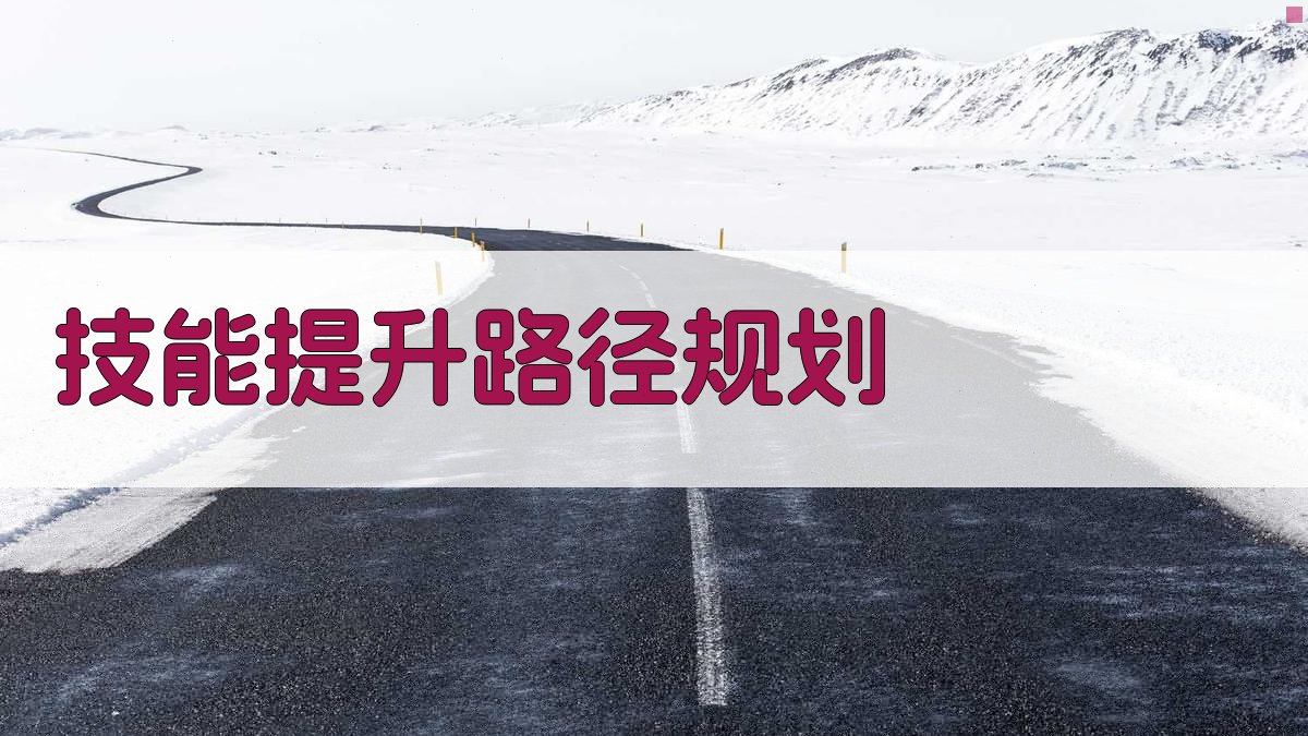 技能提升路径规划 图2